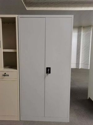 Tủ quần áo 2 cửa tùy chỉnh Tủ hồ sơ bằng thép Tủ đựng hồ sơ cho văn phòng